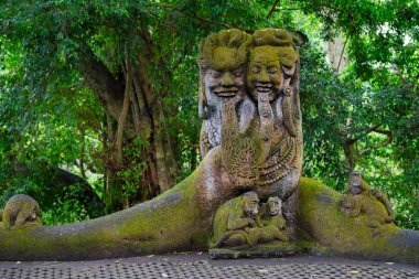 Sacred Monkey Forest Sanctuary in Ubud. Bali Island, Indonesia clipart