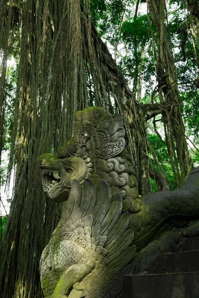 Sacred Monkey Forest Sanctuary v Ubudu. Ostrov Bali, Indonésie — Stock fotografie