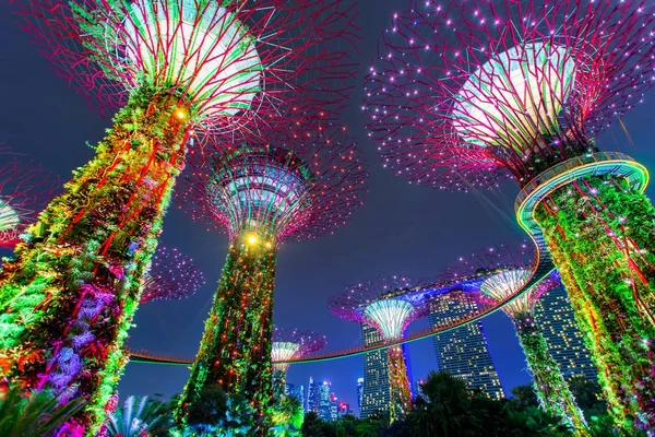 Supertree Grove geceleri. Bahçelerle Bay, Singapur