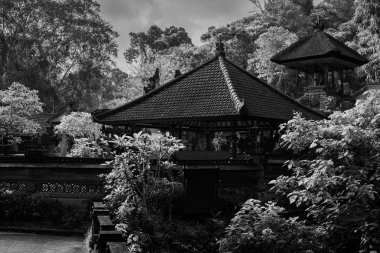 Pura Gunung Lebah. Endonezya, Bali 'deki tapınak