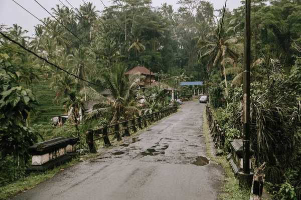 Camino en la aldea cerca de la selva tropical en Bali, Indonesia — Foto de Stock