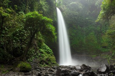 Güzel büyük şelale yeşil orman içinde. Doğa manzara