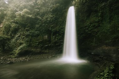 Güzel büyük şelale yeşil orman içinde. Doğa manzara 