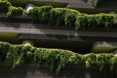 Modern futuristik Singapur şehirde bina yeşil doğa cephe