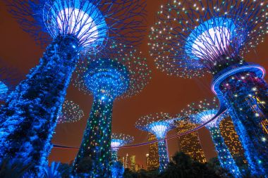 Supertree Grove orman geceleri ışıklı. Bahçelerle Bay, Singapur 