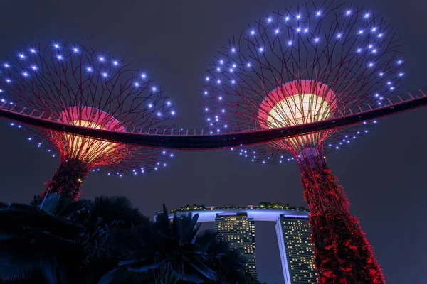 Supertree Grove bos verlicht 's nachts. Tuinen langs de baai, Singapore — Stockfoto
