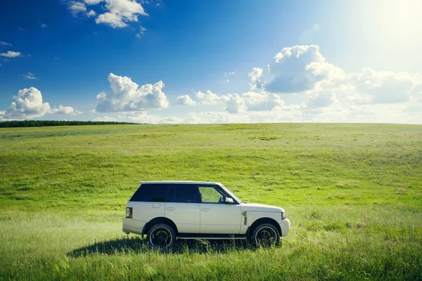 Car Land Rover Range Rover está de pie en el prado de hierba verde en el día de verano — Foto de Stock