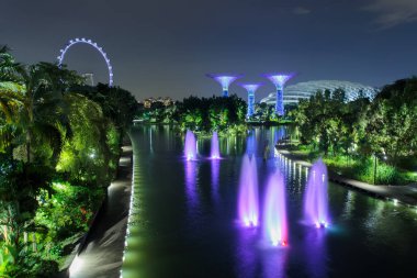 Supertree Grove orman geceleri ışıklı. Defne, Singapur şehir bahçelerle