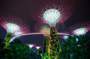 Supertree Grove orman geceleri ışıklı. Defne, Singapur şehir bahçelerle