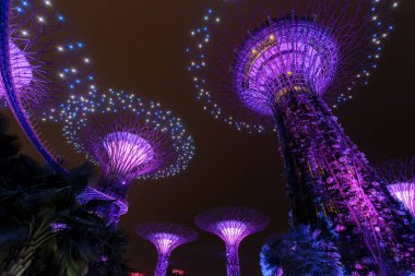 Supertree Grove orman geceleri ışıklı. Defne, Singapur şehir bahçelerle