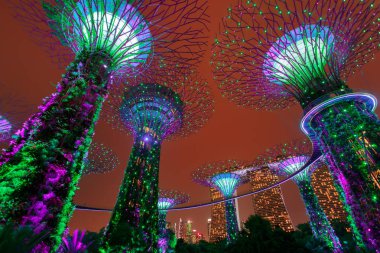Supertree Grove orman geceleri ışıklı. Defne, Singapur şehir bahçelerle