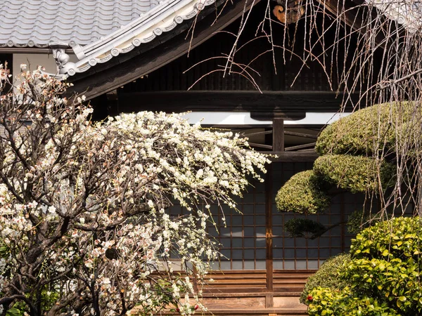 Japonský dům se zahradou — Stock fotografie
