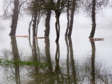Snoqualmie nehri Duvall, Washington 'daki parkı sular altında bıraktı.