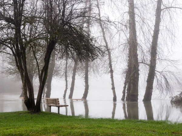 Río Snoqualmie Inunda Parque Duvall Washington — Foto de Stock