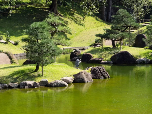 Jardín Tradicional Japonés Paseando Con Estanque — Foto de Stock