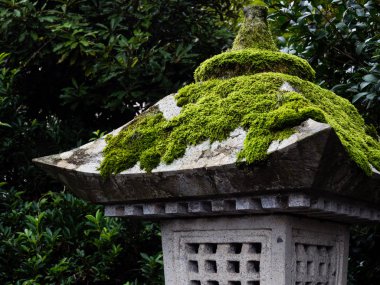 Yosun kaplı taş Japon feneri.