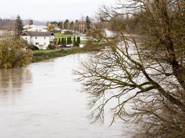 Duvall şehri yakınlarındaki Snoqualmie nehri taşar, tarım arazileri ve su altındaki yollar