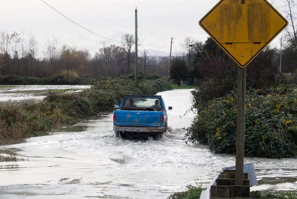 Duvall Nov 2015 Snoqualmie River Floods Farmlands Roads Water — Fotografia de Stock