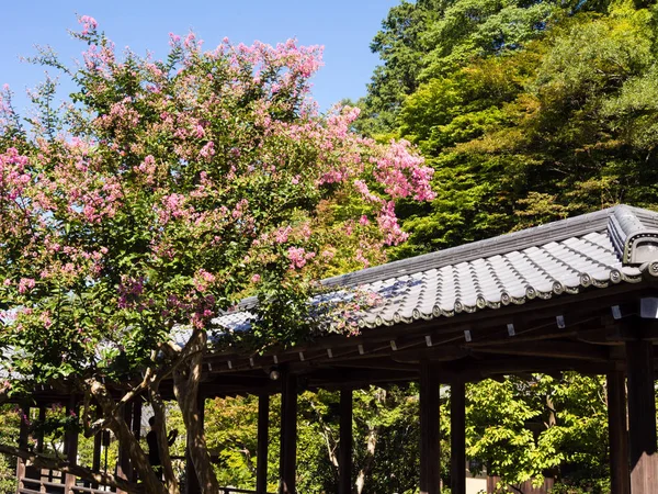 咲く木とタイルを張られた屋根付き回廊のある日本庭園 — ストック写真