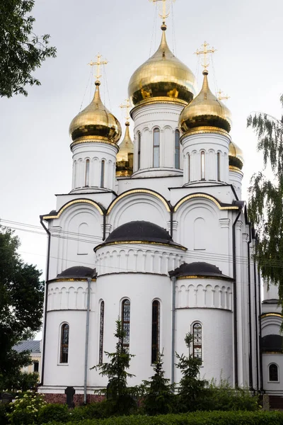 Monasterio San Nicolás Pereslavl Zalessky Rusia — Foto de Stock