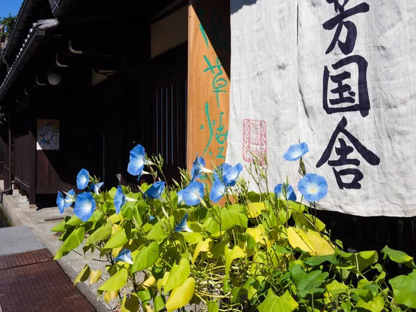 朝顔の花 decoraing 伝統的な日本家屋 — ストック写真