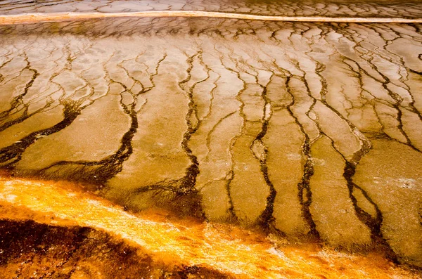 Hot spring mönster i Yellowstone National Park, Usa — Stockfoto