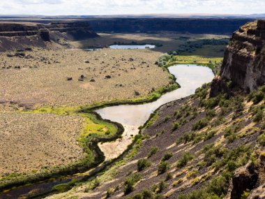 Dry Falls, ABD 'nin Washington eyaletinde kurumuş buzul çağı dev şelalesi.