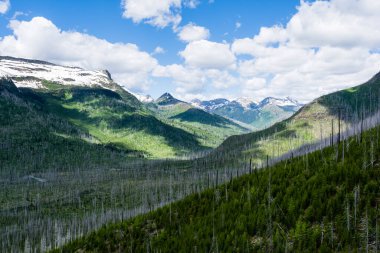ABD 'nin Buzul Ulusal Parkı' ndaki Güneşe Giden Yol boyunca Alp manzarası