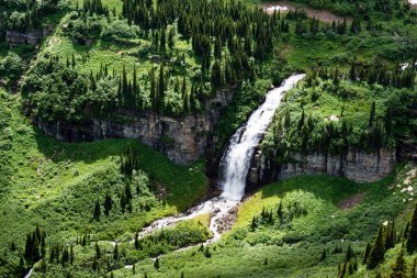 Şelale Logan Pass 'ın altında Buzul Ulusal Parkı, Montana, ABD' de Güneşe Giden Yol boyunca ilerliyor.