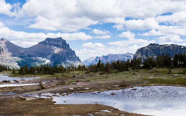 Αλπικό Τοπίο Κατά Μήκος Hidden Lake Trail Παγετώνα Εθνικό Πάρκο — Φωτογραφία Αρχείου