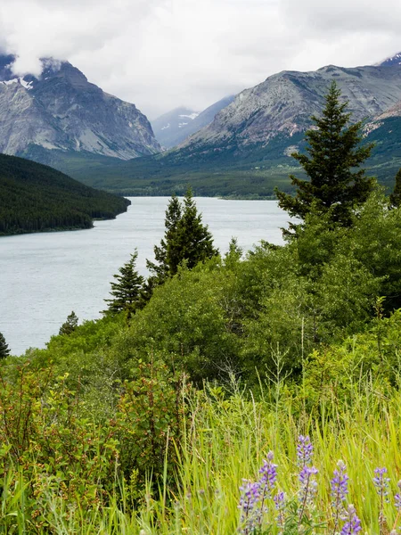 Jezioro Dolnych Dwóch Lekarstw Parku Narodowym Lodowiec Montana — Zdjęcie stockowe
