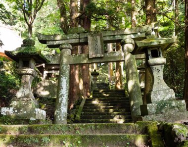 Japon taş torii kapıları ve Kunisaki yarımadasındaki Iwatoji tapınağındaki dağa adımlar.