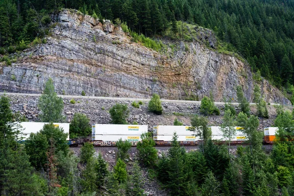 Montana, ABD - 3 Temmuz 2016: Amerika 'nın vahşi doğasında yük treni