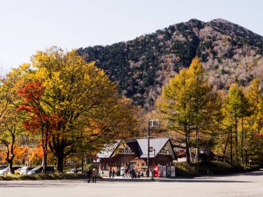Nikko, Japonya - 24 Ekim 2016: Nikko-Yumoto 'da sonbahar renkleri, Nikko Milli Parkı' nın bir parçası