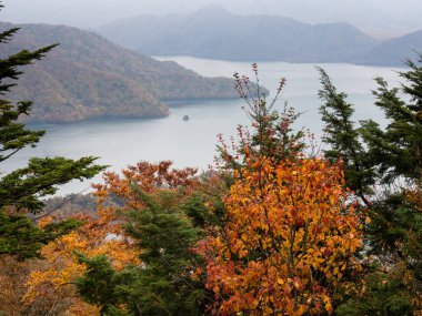 Nikko Ulusal Parkı, Japonya 'da sonbahar renkleri - bir dağın zirvesinden Chuzenji Gölü manzarası