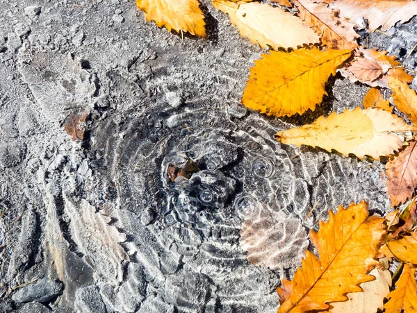 Herbstblätter Klar Blubbernden Heißen Frühling Nikko Yumoto Teil Des Nikko — Stockfoto