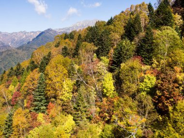 Japon Alplerindeki ilk sonbahar renkleri - Japonya 'nın Gifu ilindeki Shin-Hotaka halatından görüntü
