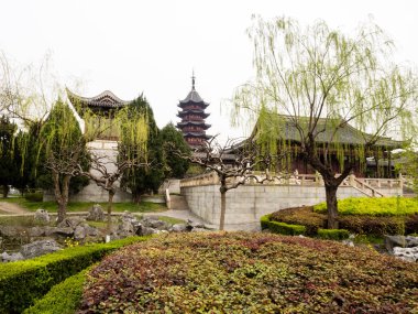 Çin, Suzhou 'daki Ruiguang Pagoda Parkı' nda bahar geldi.