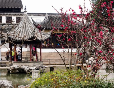 Suzhou, Çin - 23 Mart 2016: Lion Grove Garden 'da İlkbahar, klasik bir Çin bahçesi ve Suzhou' daki Unesco Dünya Mirası 'nın bir parçası
