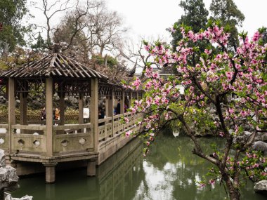 Suzhou, Çin - 23 Mart 2016: Lion Grove Garden 'da İlkbahar, klasik bir Çin bahçesi ve Suzhou' daki Unesco Dünya Mirası 'nın bir parçası