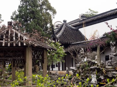 Suzhou, Çin - 23 Mart 2016: Lion Grove Garden 'da İlkbahar, klasik bir Çin bahçesi ve Suzhou' daki Unesco Dünya Mirası 'nın bir parçası