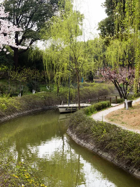 Suzhou China Marzo 2016 Canal Tranquilo Primavera Con Ciruelos Floreciendo — Foto de Stock