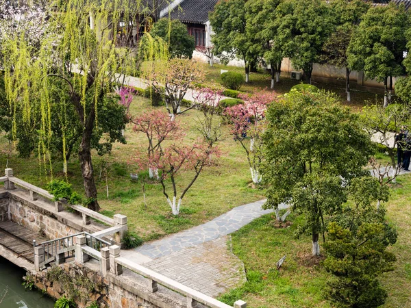Jardin Prunes Fleurs Dans Région Panmen Suzhou — Photo
