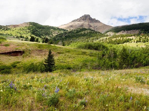 Alpine Landschaft Waterton Lakes Nationalpark Kanada — Stockfoto