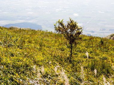 Aso volkanik kalderasının kuzey kenarından manzara - Aso-Kuju Ulusal Parkı, Kumamoto Bölgesi, Japonya