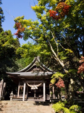Aso, Japonya - 5 Kasım 2016: Aso-Kuju Ulusal Parkı 'nın bir parçası olan Aso volkanik kalderasındaki tarihi Kokuzo Tapınağı' nın ana salonu