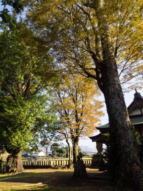 Aso-Kuju Ulusal Parkı 'nın bir parçası olan Aso volkanik kalderasının içindeki Shimomiya tapınağında sonbahar yaprakları - Kumamoto Bölgesi, Japonya