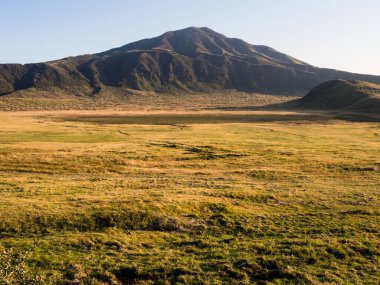 Aso volkanik kalderasının içindeki Kusasenri Platosu 'nda sonbahar - Aso-Kuju Ulusal Parkı, Kumamoto Bölgesi