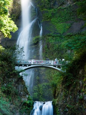 Multnomah Falls, Columbia River Gorge, Oregon, ABD