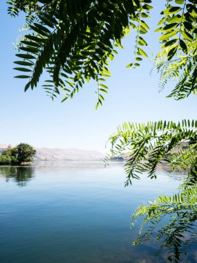 Columbia Nehri At Hırsızı Eyalet Parkı, WA, ABD